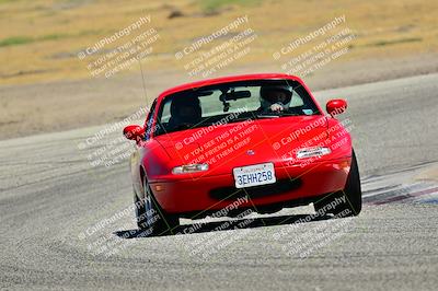 media/May-24-2025-Turn8 Trackdays (Sat) [[034586b55d]]/5 Inter 1/Session 2 (Cotton Corners-Grapevine)/